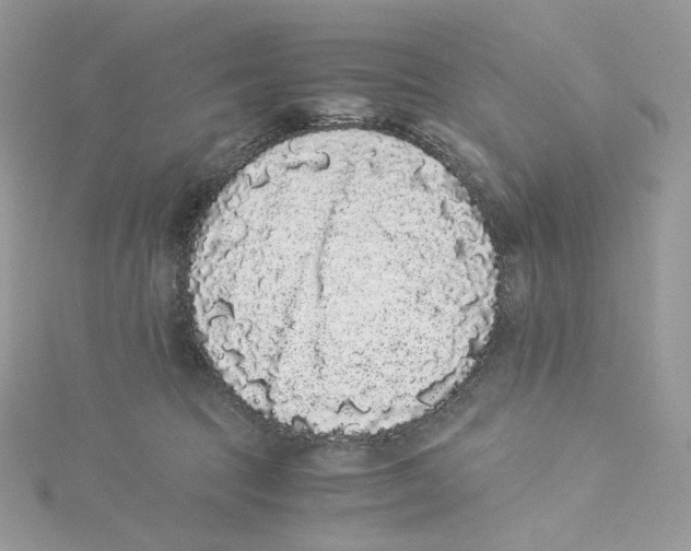 X0000114520369200911161321