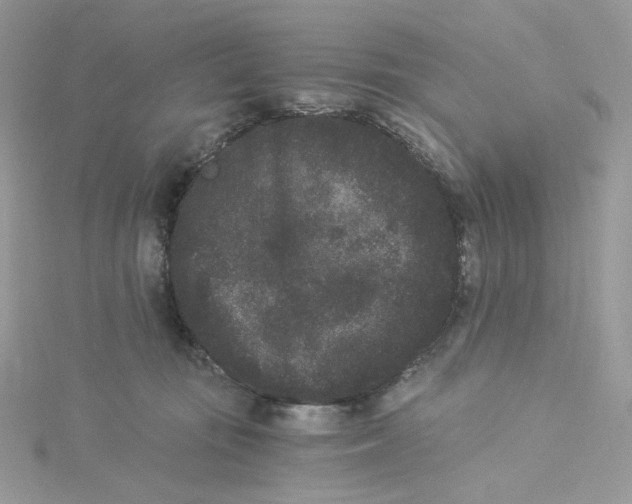 X0000114520371200911161321