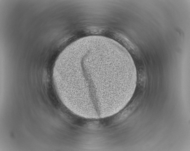 X0000114520374200911161321