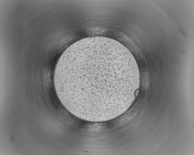 X0000114520378200911161321