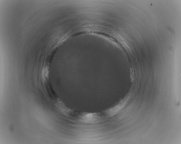 X0000114520382200911161321