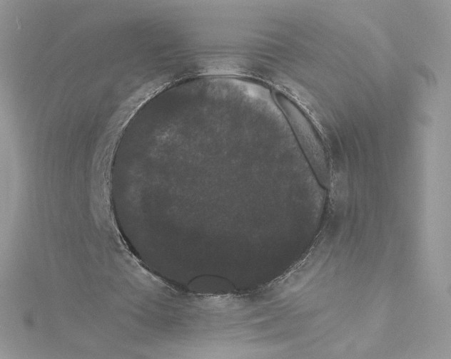 X0000114520385200911161321