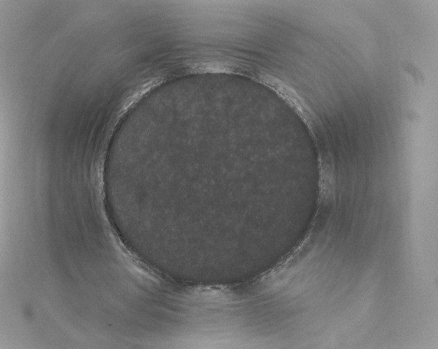 X0000114520386200911161321