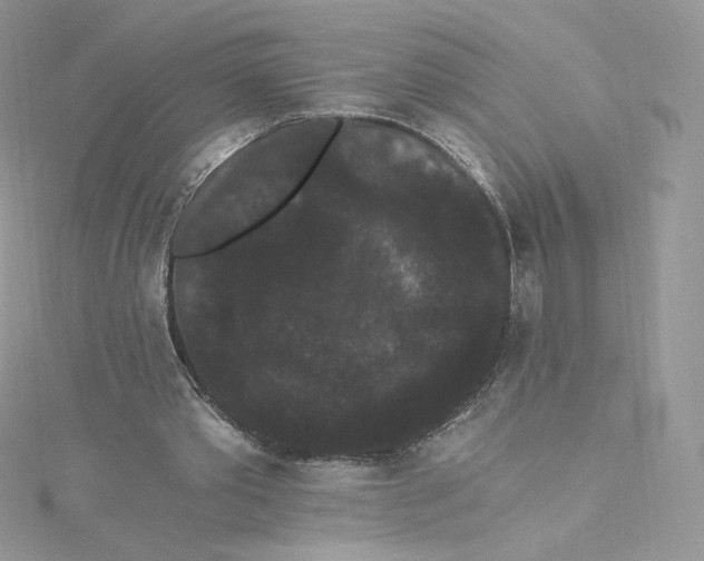 X0000114520389200911161321