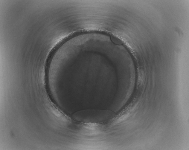 X0000114520391200911161321