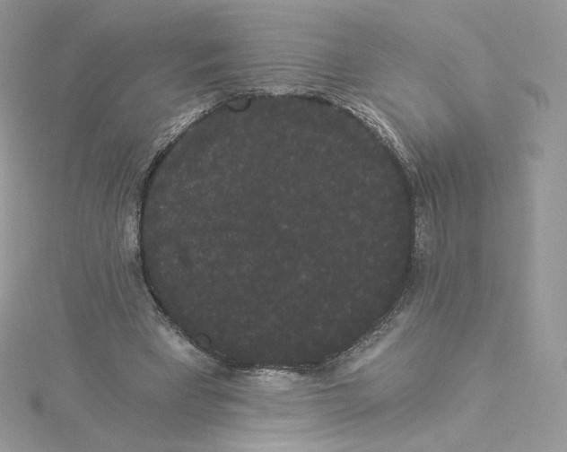 X0000114520393200911161321