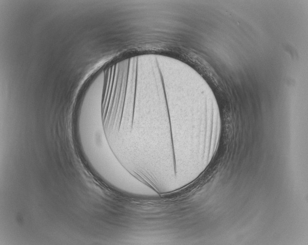 X0000114520395200911161321