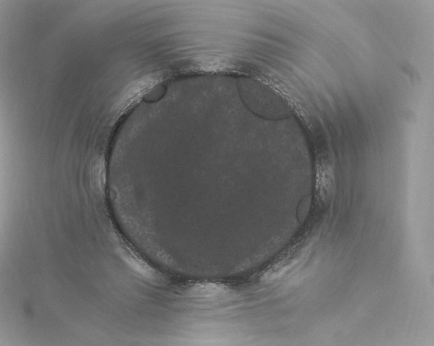 X0000114520397200911161321