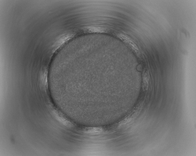 X0000114520398200911161321