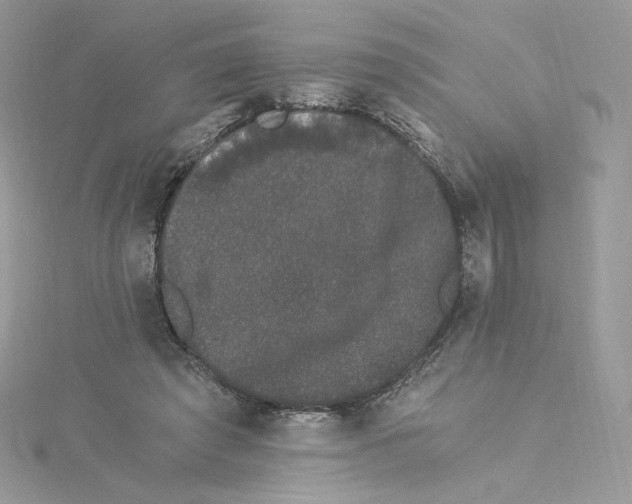 X0000114520401200911161321