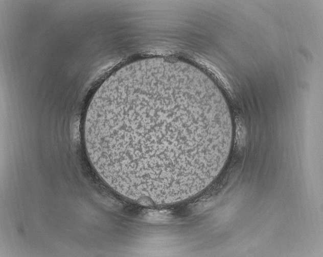 X0000114520403200911161321