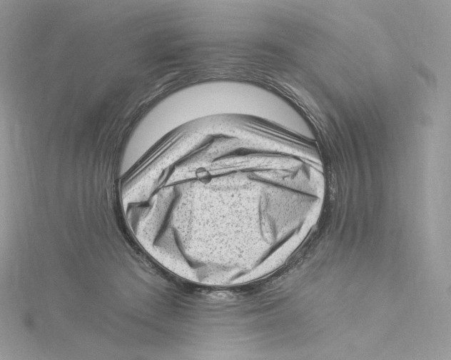 X0000114520409200911161320