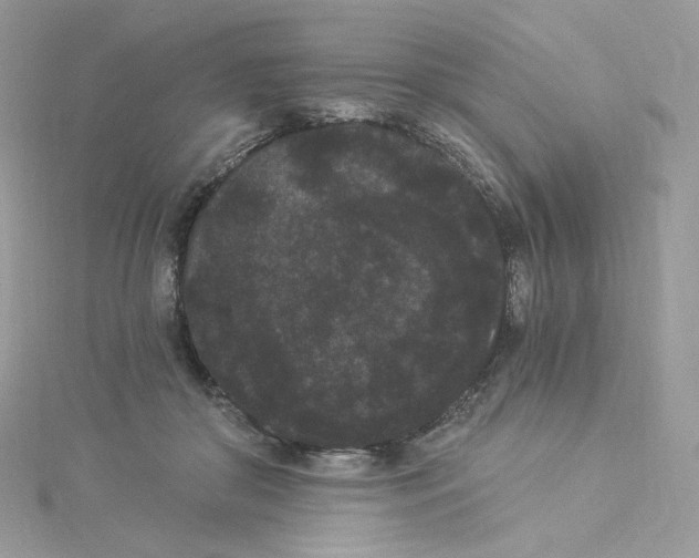 X0000114520410200911161320