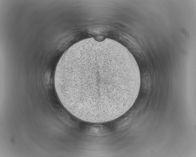 X0000114520420200911161320