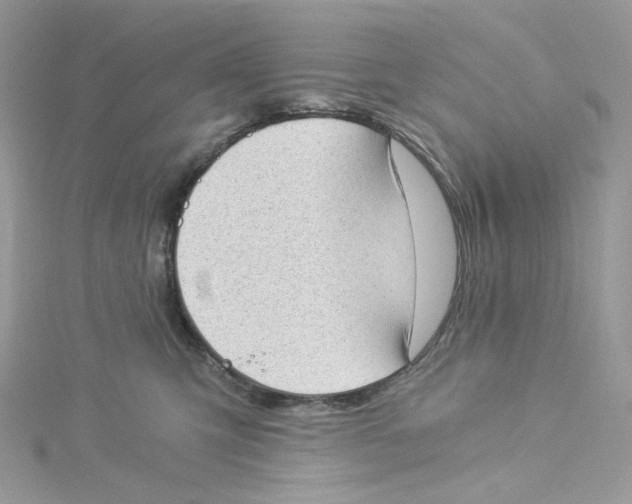 X0000114520423200911161320