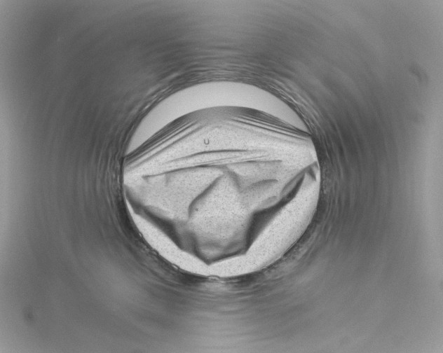 X0000114520425200911161320