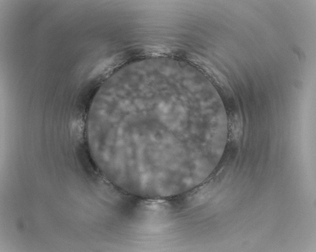 X0000114520427200911161320