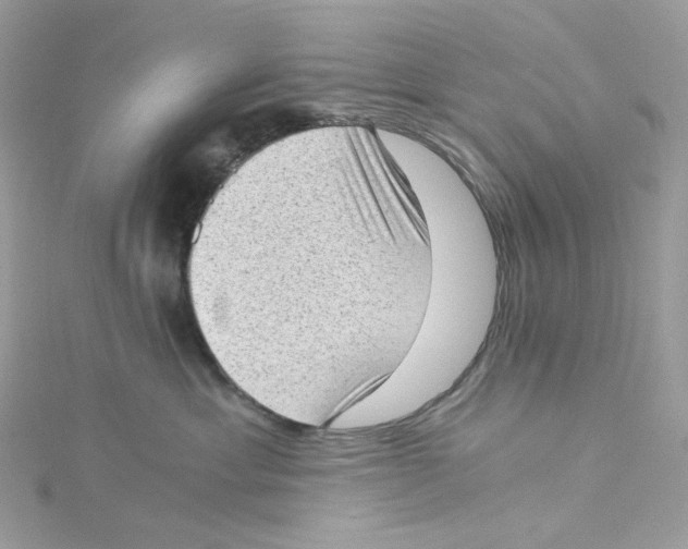 X0000114520429200911161320