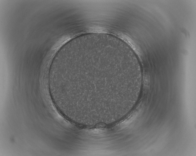 X0000114520433200911161320