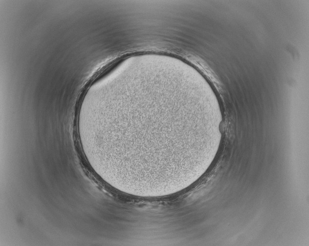 X0000114520434200911161320