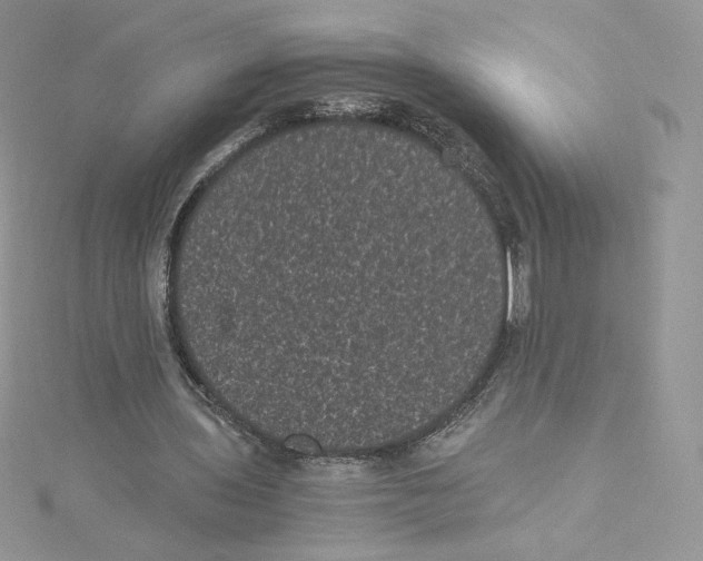 X0000114520435200911161320