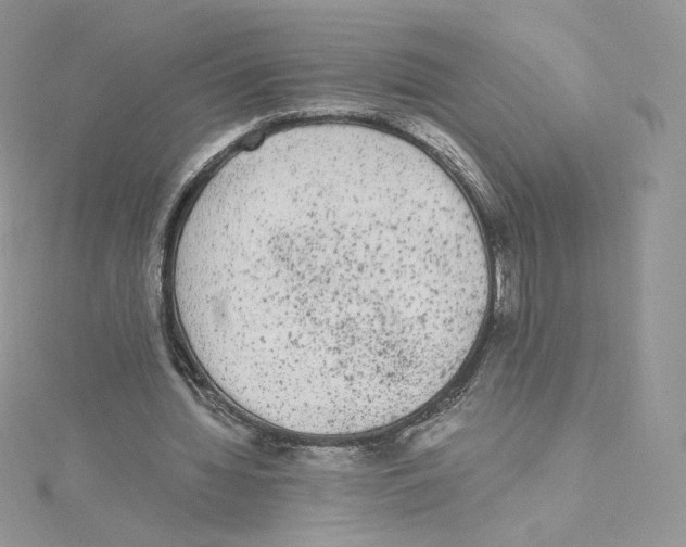 X0000114520436200911161320