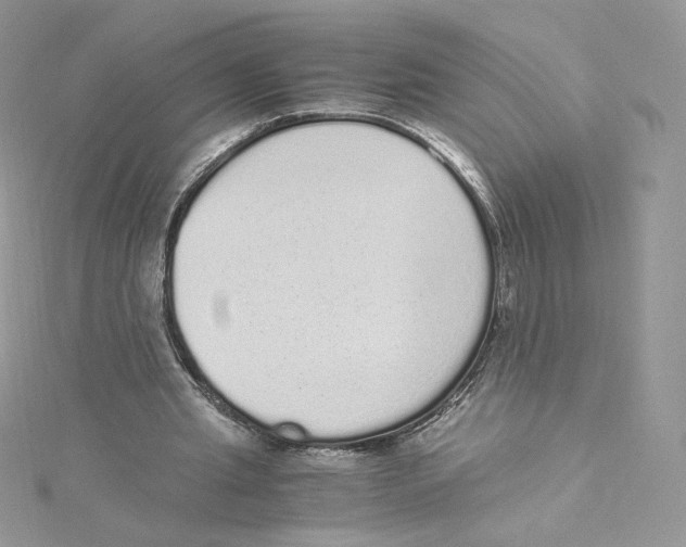 X0000114520437200911161320