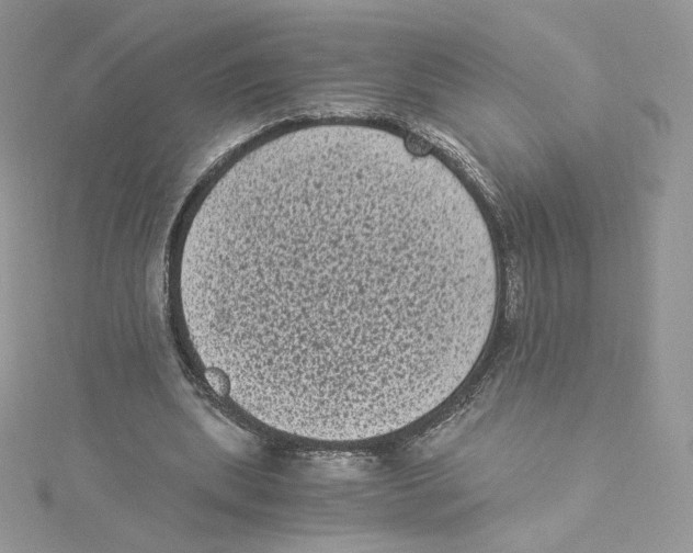 X0000114520439200911161320