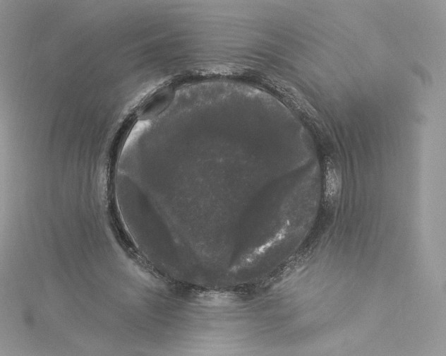 X0000114520444200911161320