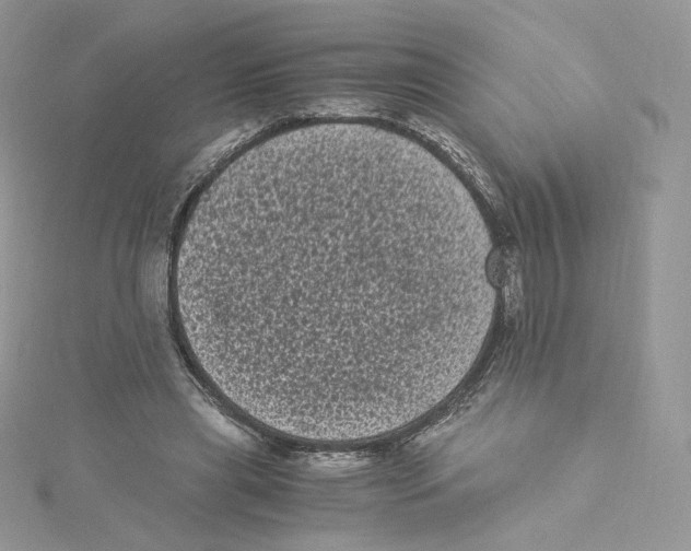 X0000114520445200911161320