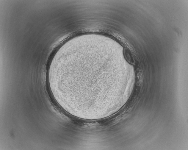 X0000114520446200911161320