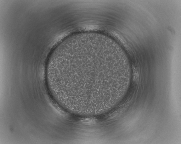 X0000114520447200911161320