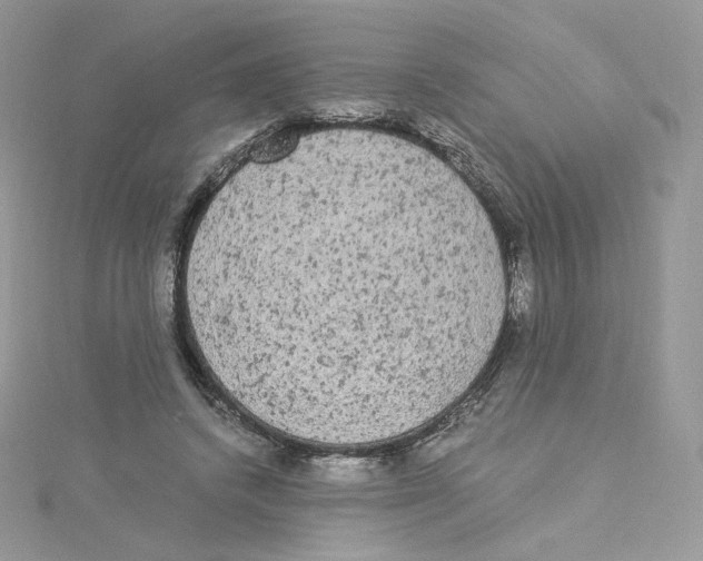 X0000114520448200911161320