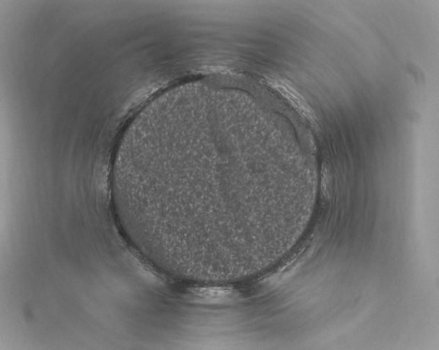 X0000114520449200911161320