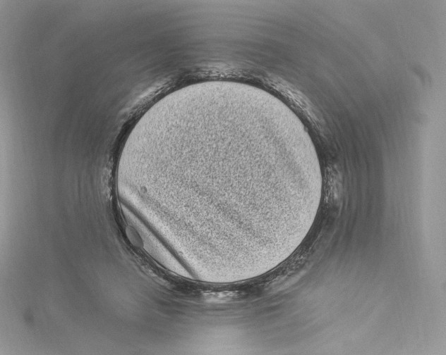 X0000114520450200911161320