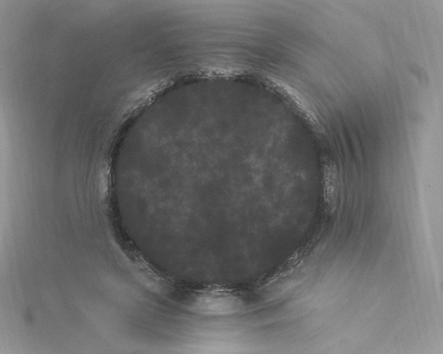 X0000114520451200911161320