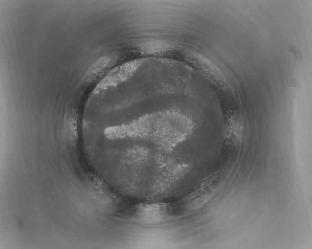 X0000114520452200911161320