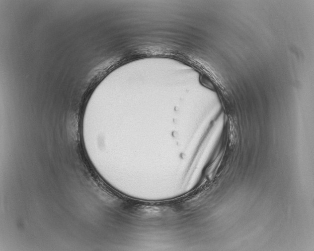 X0000114520453200911161320