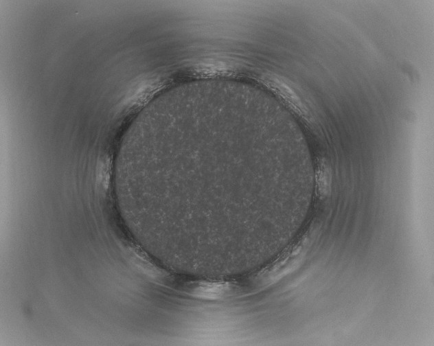 X0000114520458200911161320