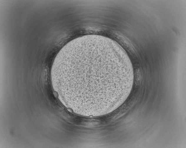 X0000114520463200911161320