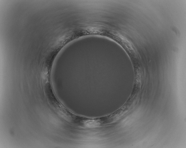 X0000114520465200911161320