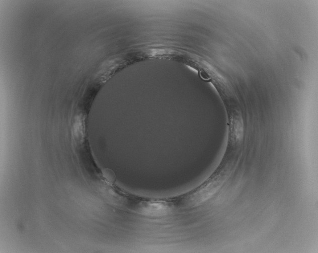 X0000114520475200911161320