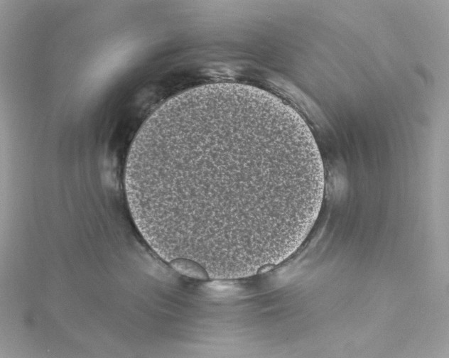 X0000114520477200911161320