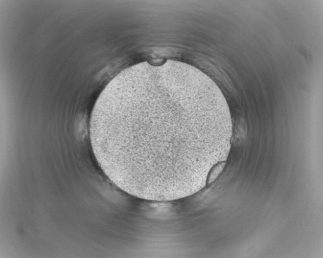 X0000114520478200911161320