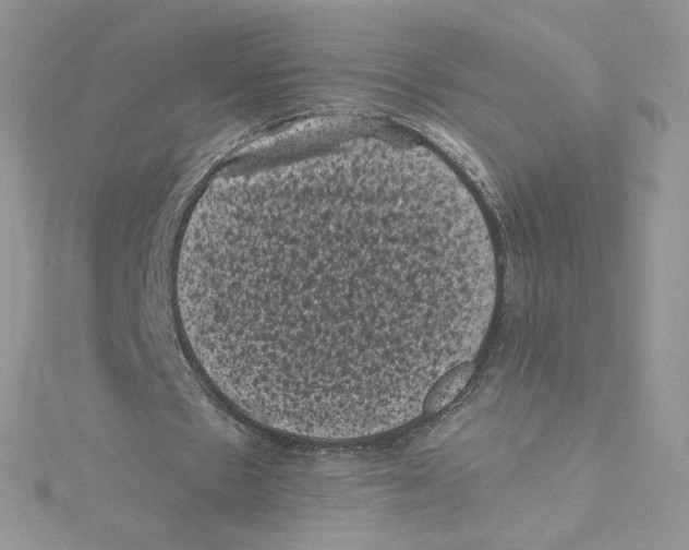 X0000114520481200911161320