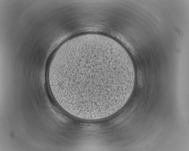 X0000114520486200911161320