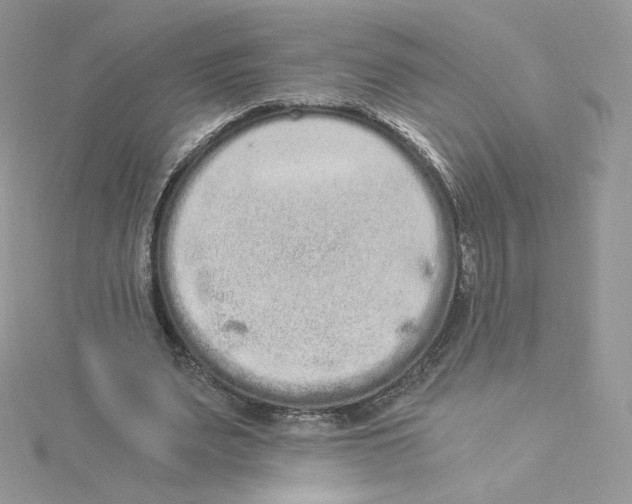 X0000114520487200911161319