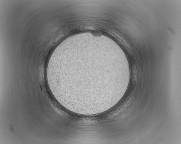 X0000114520489200911161319