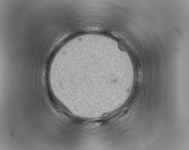 X0000114520491200911161319