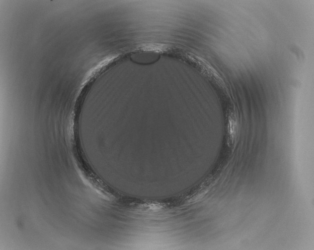 X0000114520492200911161319